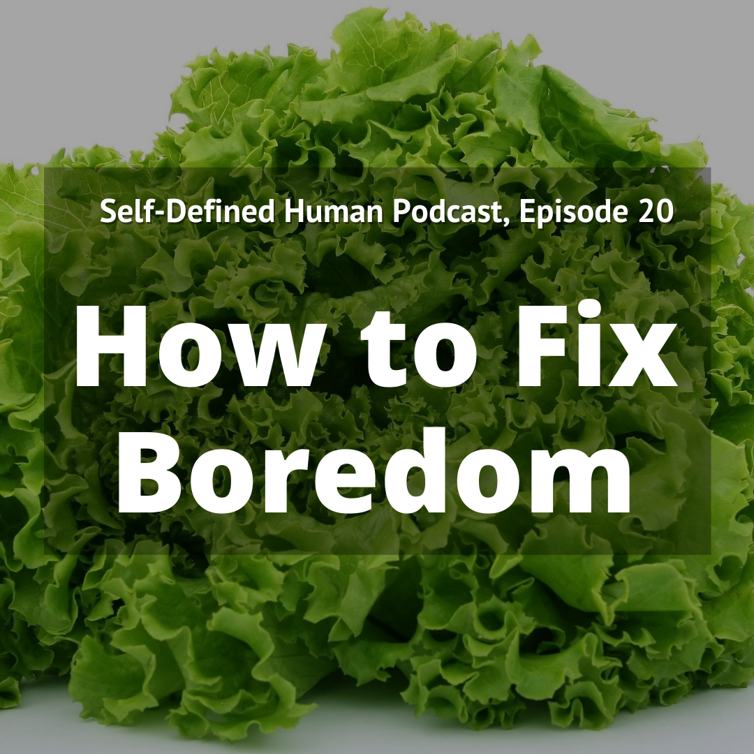Self-Defined Human Podcast, Episode 20: How to Fix Boredom