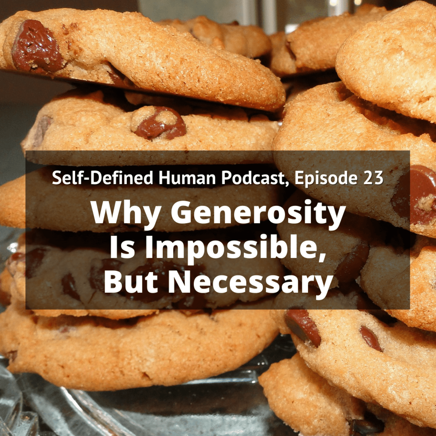 Self-Defined Human Podcast, Episode 23: Why Generosity is Impossible, But Necessary