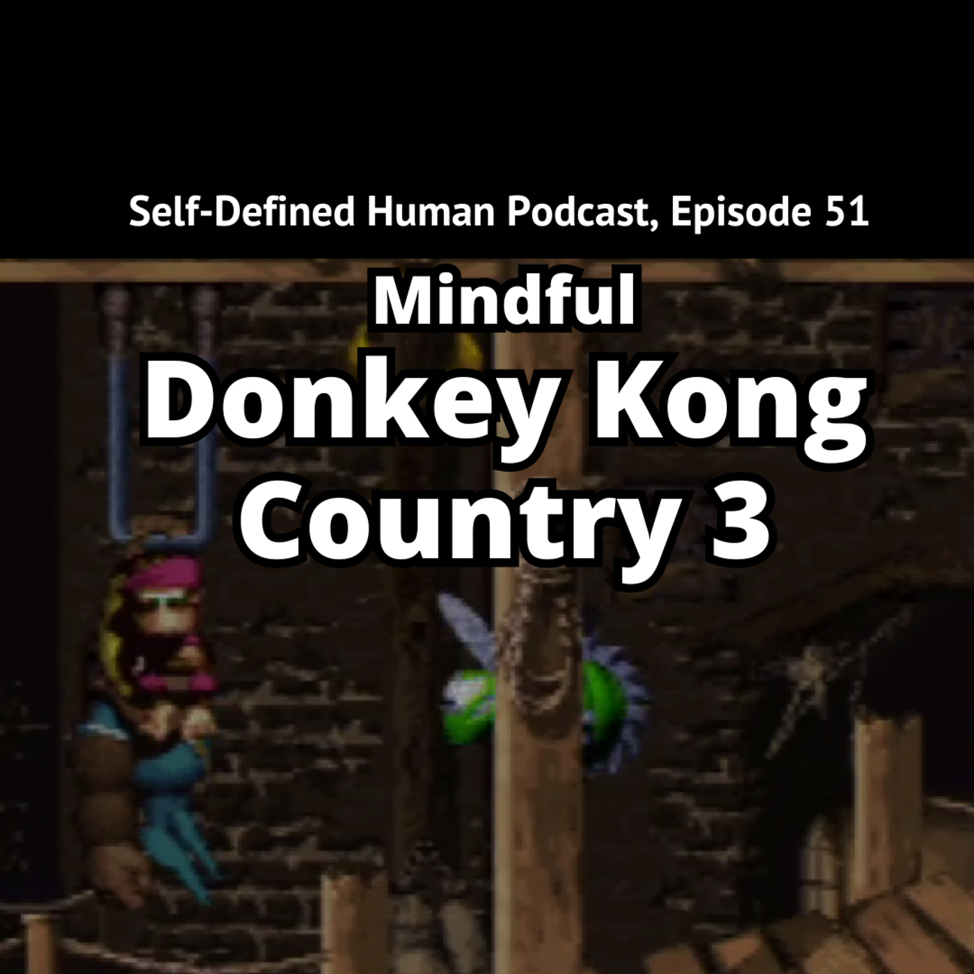 #51 – Mindful Donkey Kong Country 3